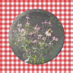 Echinacea-Blume in der Sonne Pappteller