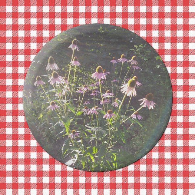 Echinacea-Blume in der Sonne Pappteller (Echinacea Flowers in the Sun Paper Plates on Tablecloth)