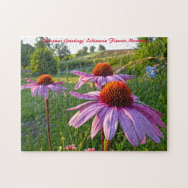 Echinacea Blume Montana. Weihnachtsgrüße Puzzle (Horizontal)
