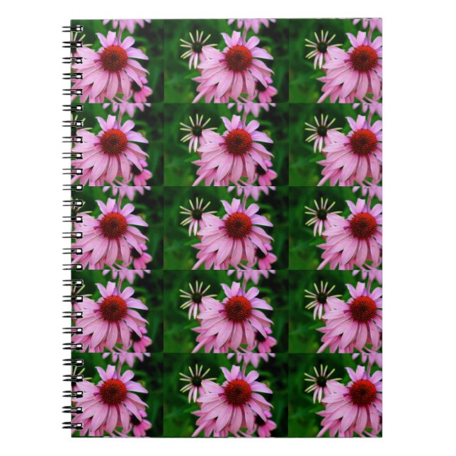 Echinacea-Blume Notizblock (Vorderseite)