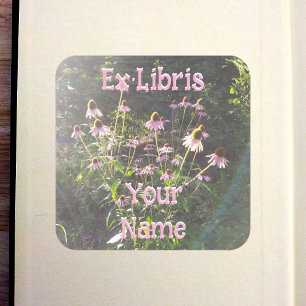 Echinacea-Blumen im Sonnenlicht-Exlibris Quadratischer Aufkleber