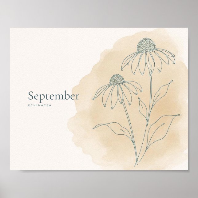 Echinacea Botanischer Kunstdruck | September Poster (Vorne)