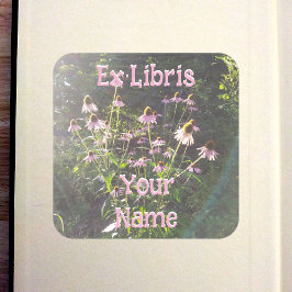 Echinacea Flowers in the Sun Bookplate Quadratischer Aufkleber