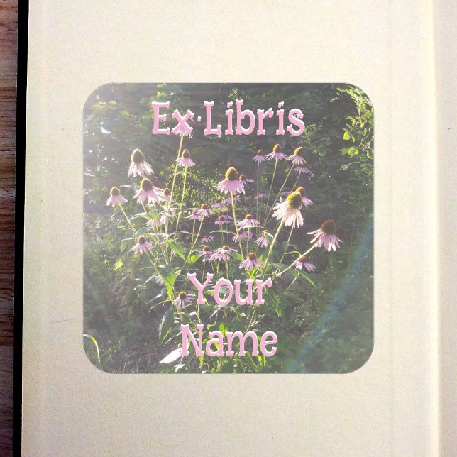 Echinacea Flowers in the Sun Bookplate Quadratischer Aufkleber (Echinacea Flowers in the Sun Bookplate in Old Book)