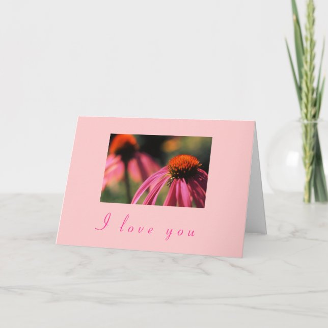 "Echinacea I Liebe You" Feiertagskarte (Vorderseite)