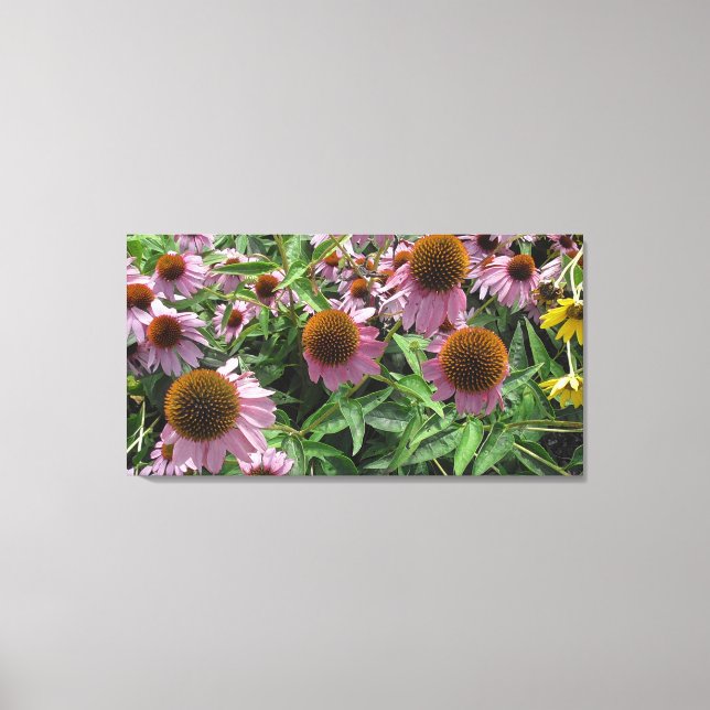 Echinacea Kone Blume in Lila und gelb Leinwanddruck (Vorderseite)