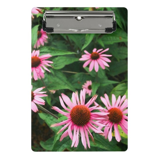 Echinacea Purpurea, Lila Blumenkohl Mini Klemmbrett (Vorderseite)