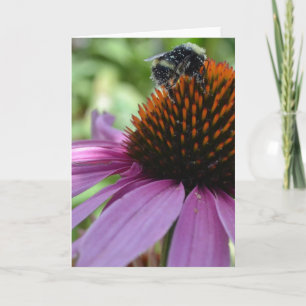 Echinacea und Biene Karte