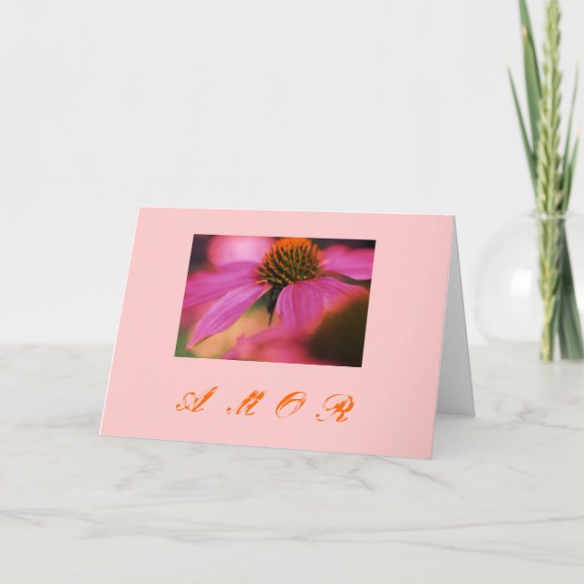 "Echinacea y amor " Feiertagskarte (Vorderseite)
