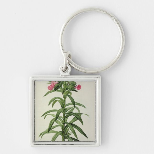 Echium Grandiflorum Schlüsselanhänger (Vorne)