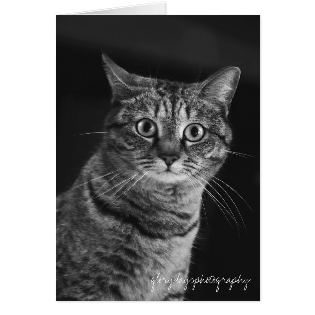 Echo, bw, D300, Glorydaysphotographie (Vorne)