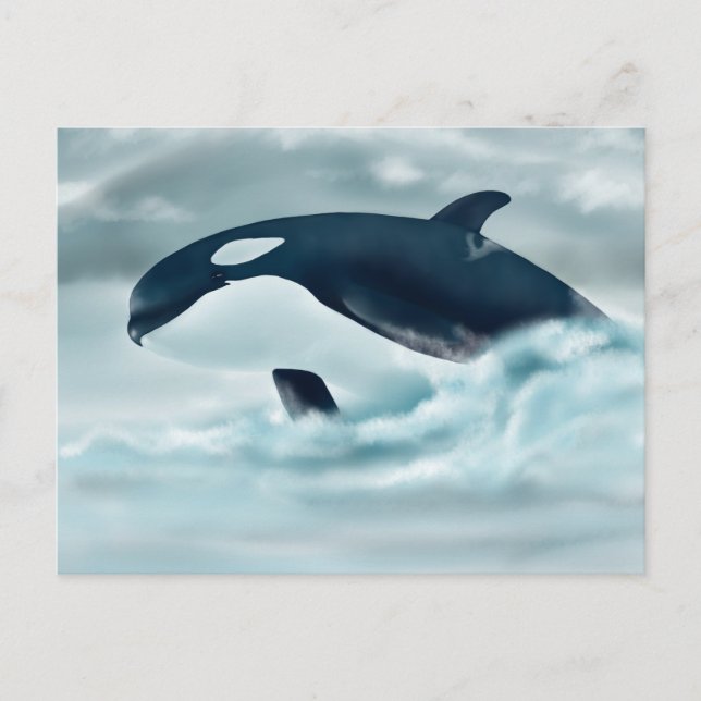 Echo (J42) Postkarte (Vorderseite)