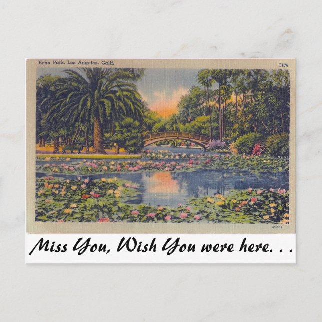 Echo Park, Los Angeles, Kalifornien Postkarte (Vorderseite)