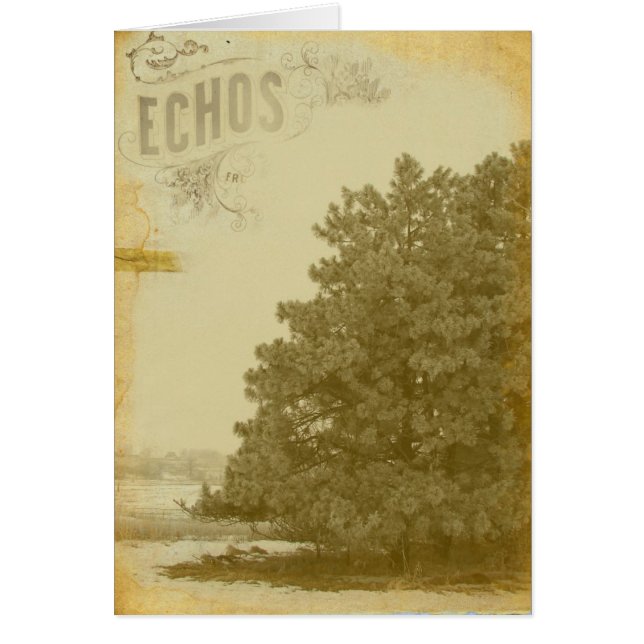 Echos des Winters (Vorne)