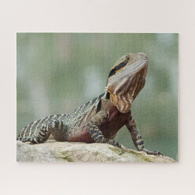 Echse - Östlicher Wasserdrache Puzzle (Horizontal)