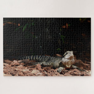 Echse Reptil - Östlicher Wasserdrache Puzzle