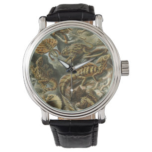 Echsen von Ernst Haeckel Vintage Lacertilia Tier Armbanduhr