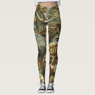 Echsen von Ernst Haeckel Vintage Lacertilia Tier Leggings