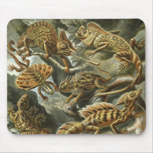 Echsen von Ernst Haeckel Vintage Lacertilia Tier Mousepad
