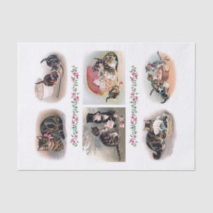 Echt (nicht KI) Vintage H. Maguire (1860-1909) Seidenpapier