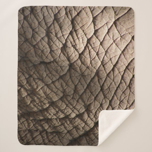 Echte Elefantenhaut Textur, zerknittert. Sherpadecke (Vorderseite)