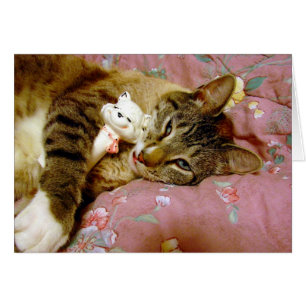 Echte Katze, Fake Cat