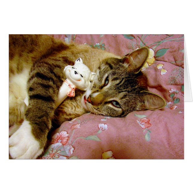 Echte Katze, Fake Cat (Vorderseite (Horizontal))