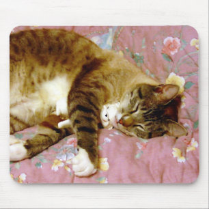 Echte Katze, falsche Katze 2 Mousepad