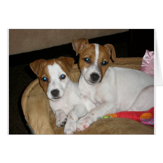 Echte Liebe (Vorderseite (Horizontal))