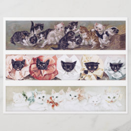 Echte (nicht KI) lange viktorianische Katzenillust