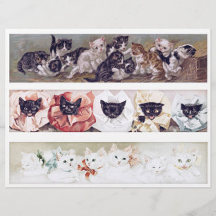 Echte (nicht KI) lange viktorianische Katzenillust