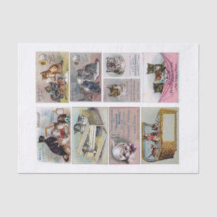 Echte (nicht KI) Vintage-Katzen-Themen-Handelskart Seidenpapier