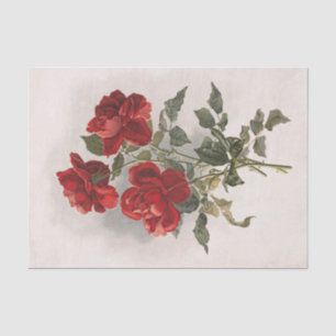 Echte (nicht KI) Vintage-Rote Rosen von Postkarte Seidenpapier