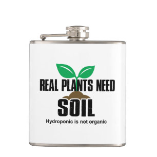 Echte Pflanze benötigen Boden Hydropon ist nicht B Flachmann