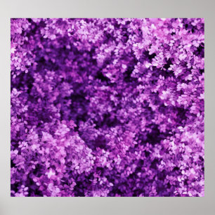 Echte Strickstoffe, texturierter Hintergrund. Poster