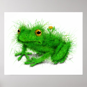 "Echter Grasfrosch" - Zeichnend Poster