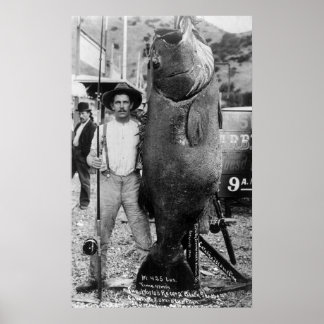 Echter großer Fisch, Anfang des 19. Jahrhunderts Poster