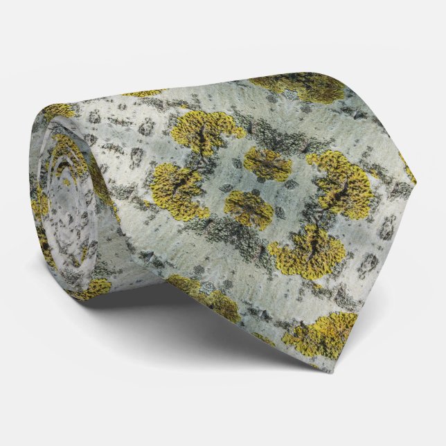 Echtes Foto von Aspen Barktexturmuster Krawatte (Gerollt)
