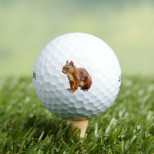 Echtes Roteichhörnchen Golfball
