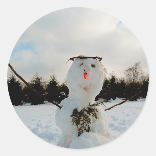 Echtes Schneemann-Foto Runder Aufkleber (Vorderseite)