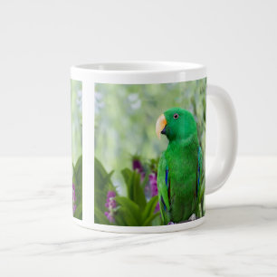 Eclectus Jumbo-Tasse