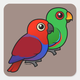 Eclectus Pair Quadratischer Aufkleber