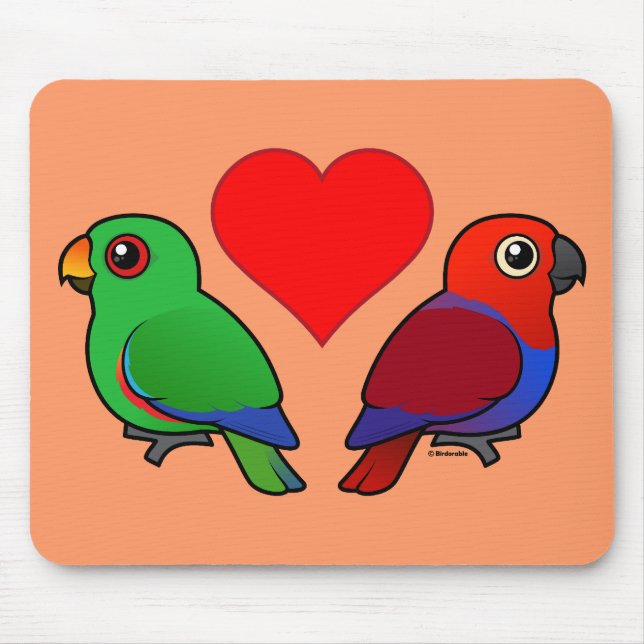 Eclectus Papageien-Liebe Mousepad (Vorne)
