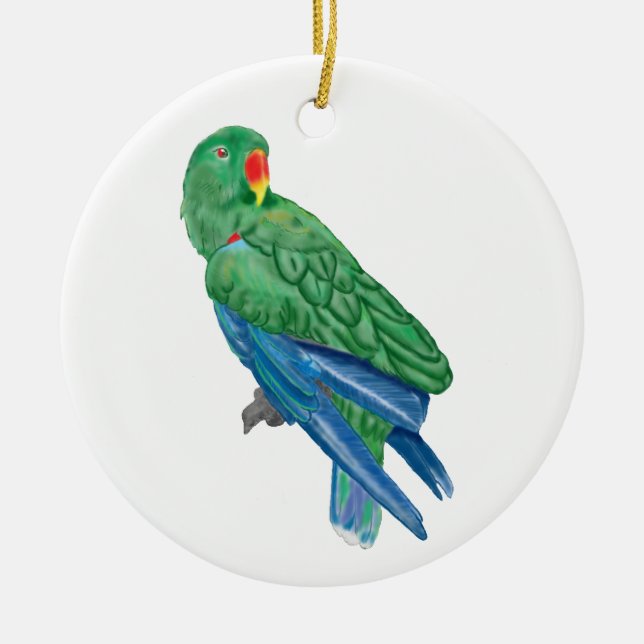 Eclectus Papageien-Verzierung Keramik Ornament (Vorne)