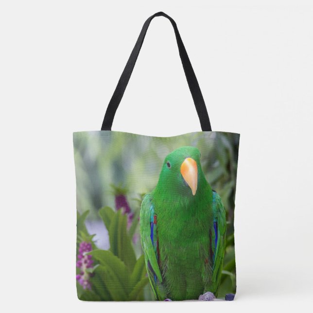 Eclectus Parrot Male (Rückseite)