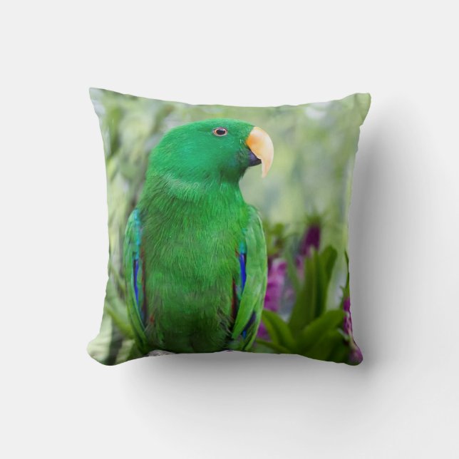Eclectus Parrot Male Kissen (Vorderseite)