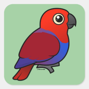 Eclectus Parrot Quadratischer Aufkleber