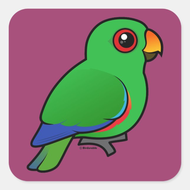 Eclectus Parrot Quadratischer Aufkleber (Vorderseite)
