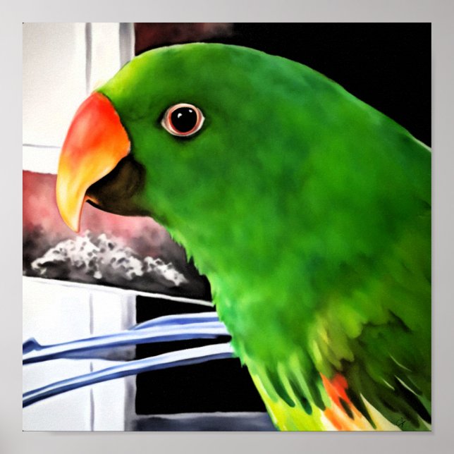 Eclectus Parrot Square Poster (Vorne)