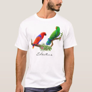 Eclectus plappert T - Shirt nach
